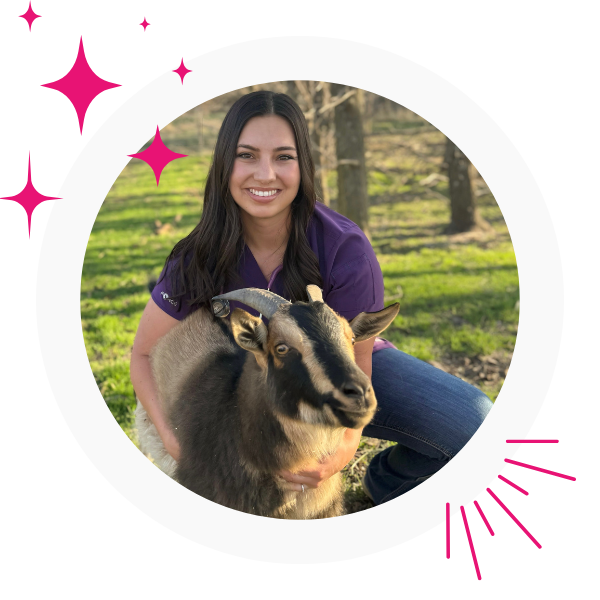A woman in a purple shirt gently holds a goat