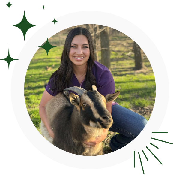 A woman in a purple shirt gently holds a goat
