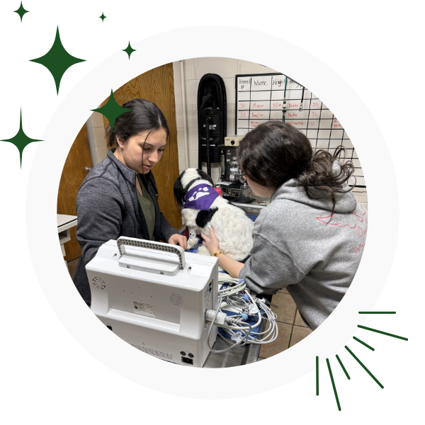 Two women holding a dog in a room