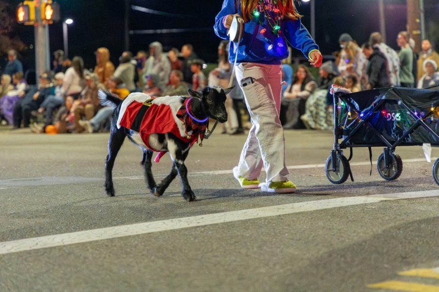 A woman and her dog participate in a nighttime parade